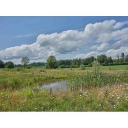 Biotop in Siegershausen Biotop in Siegershausen