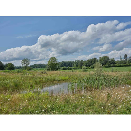 Biotop in Siegershausen