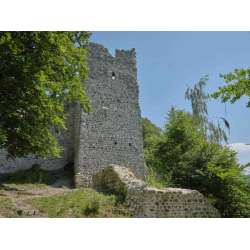 Burgruine Ramschwag Burgruine Ramschwag