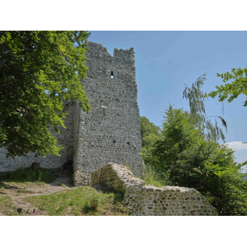 Burgruine Ramschwag