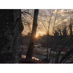 Sonnenuntergang an der Thur Sonnenuntergang an der Thur