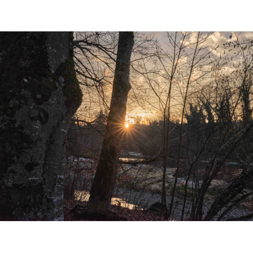 Sonnenuntergang an der Thur