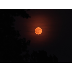 Vollmond Vollmond