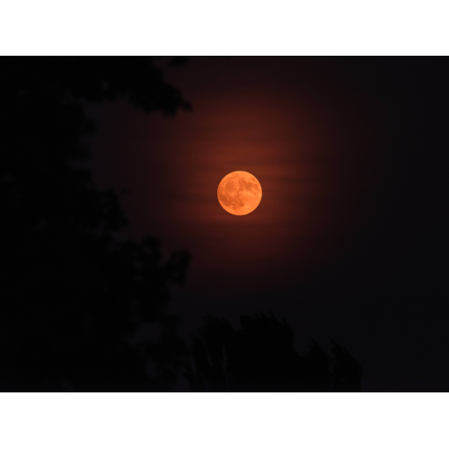 Vollmond